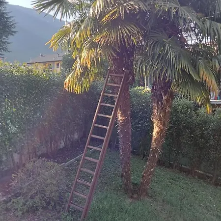 Casa Di Elisa Affittacamere 게스트하우스